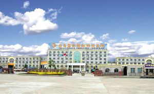 一个城郊村的城镇化范本