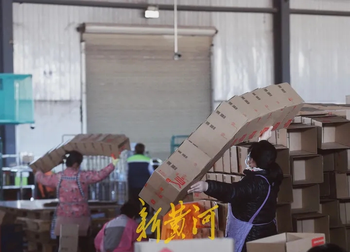 《新黄河》：2345万单！多宝电竞物流“双十一”成就再攀新高