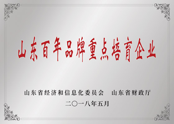 山东省百年品牌沉点造就企业