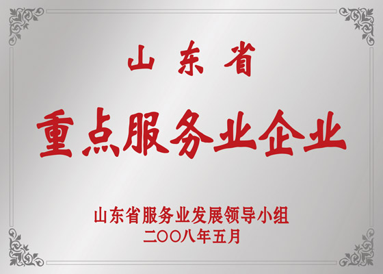 山东省沉点服务业企业