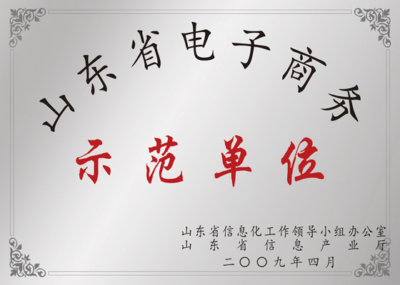 山东省电子商务示范单元